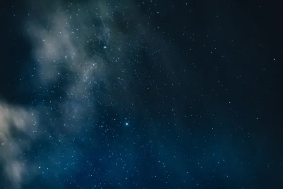 Casino Wicked Jackpots Suporte